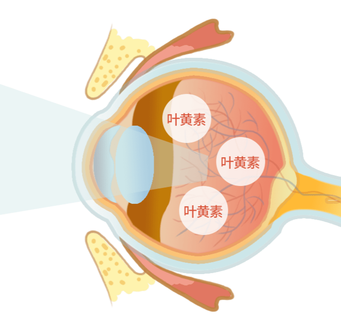 微信图片_2026-04-22_090001_005.png
