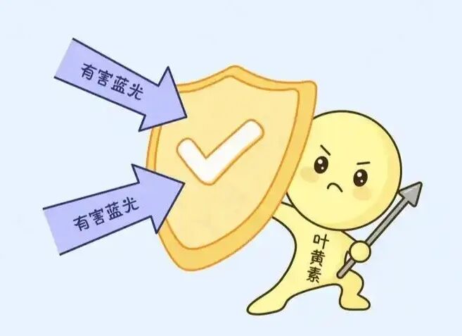 微信图片_2026-04-22_090024_268.jpg